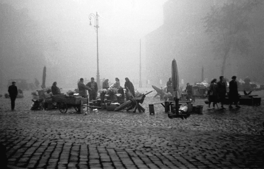 Old Krakow on a foggy day