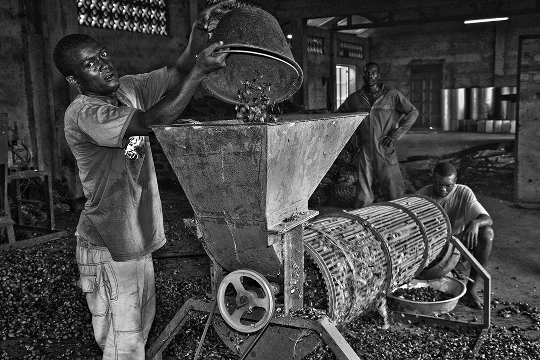 Palm oil production in the Central African Republic