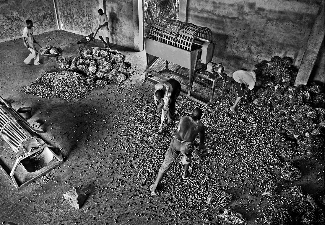 Palm oil production in the Central African Republic