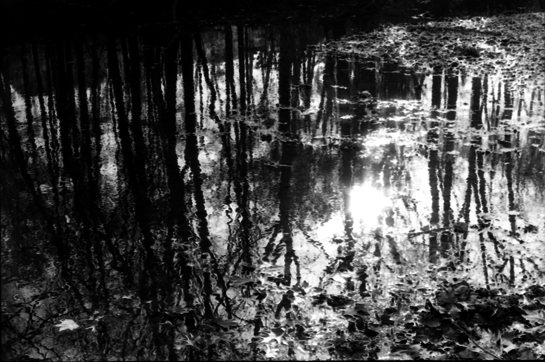 Life Blood : Ohio Rivers