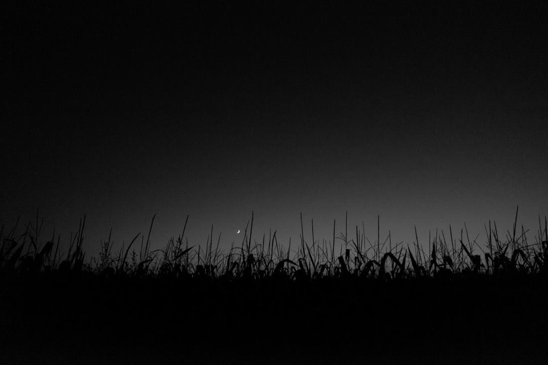 countryside in dim light