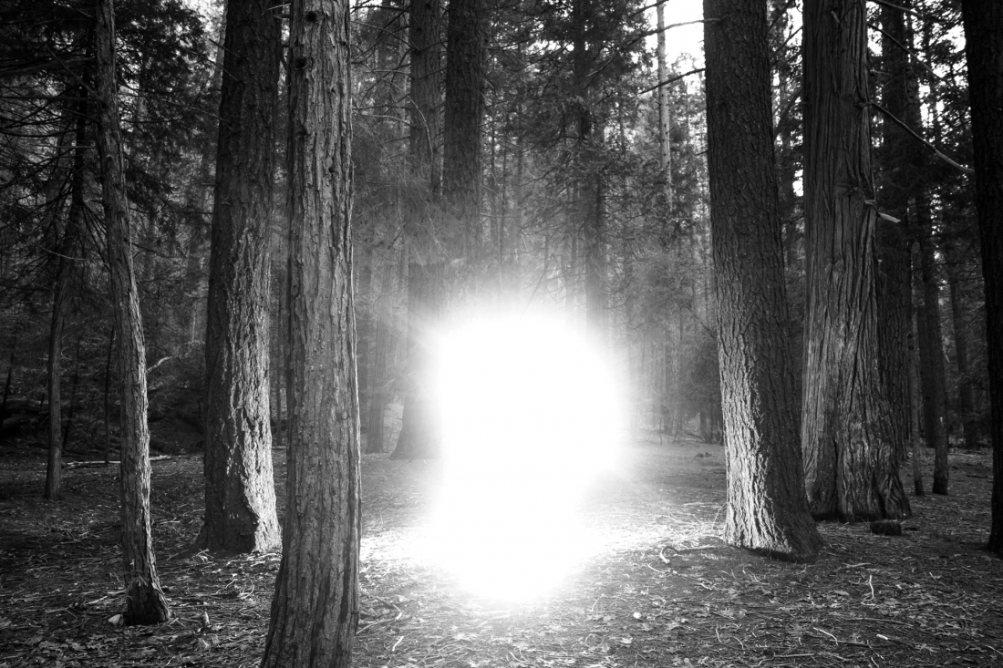 Eternal Light in the Darkness