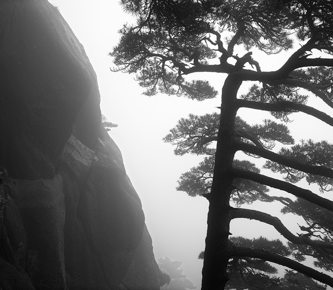 The Yellow Mountains of China