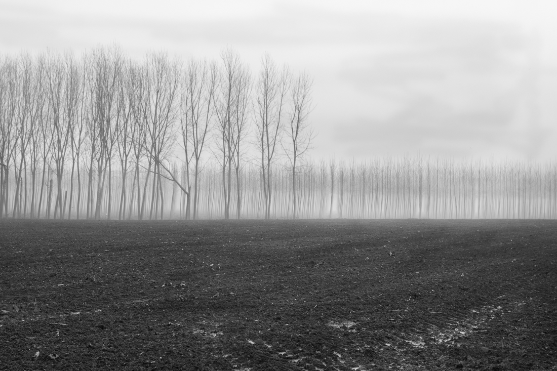WINTER ON THE OLIO RIVER