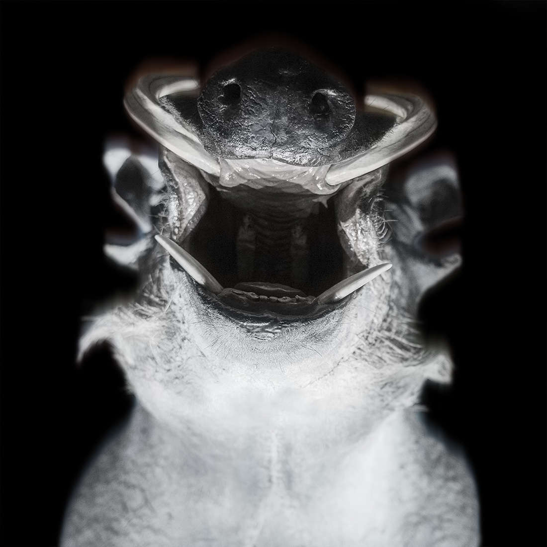 Natural History: Ghosts and Monsters