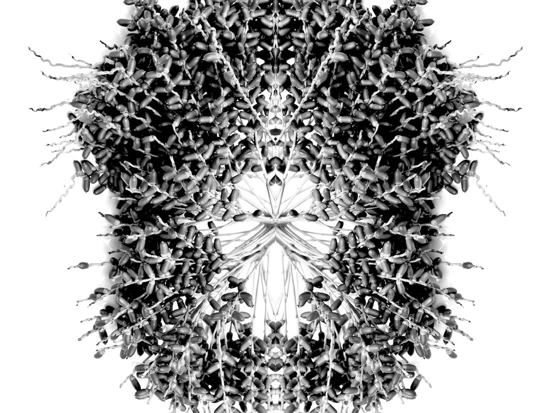 Monochrome Reflections