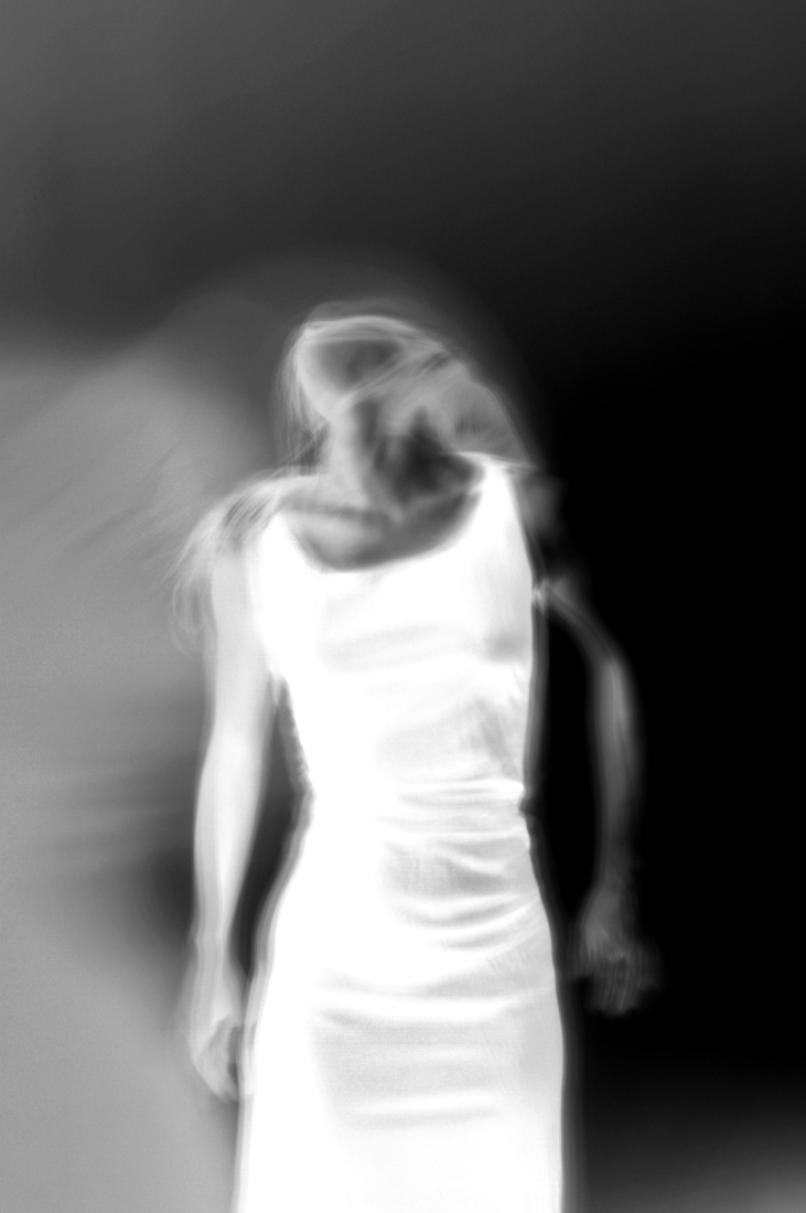 Euphorbia Blackbird#1 -  Euphorbia Blackbird#2 - Black Widow - Black Dahlia - Black Tarantula