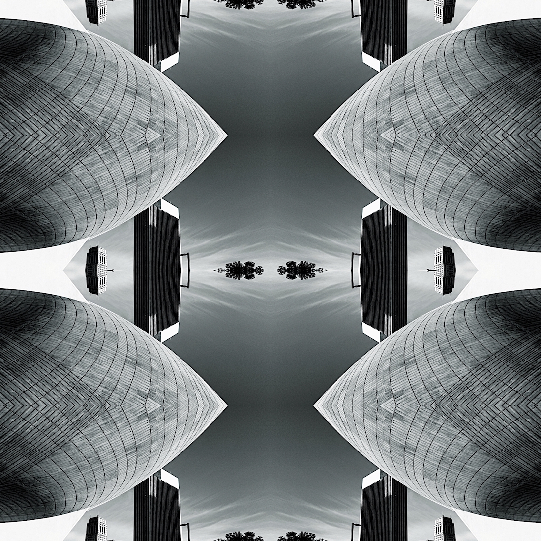 Tranquil Blooms of Modernity