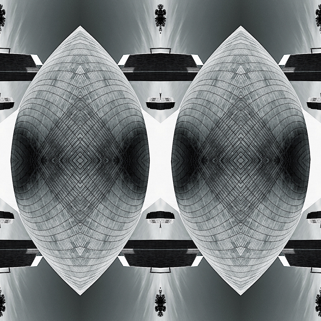 Tranquil Blooms of Modernity