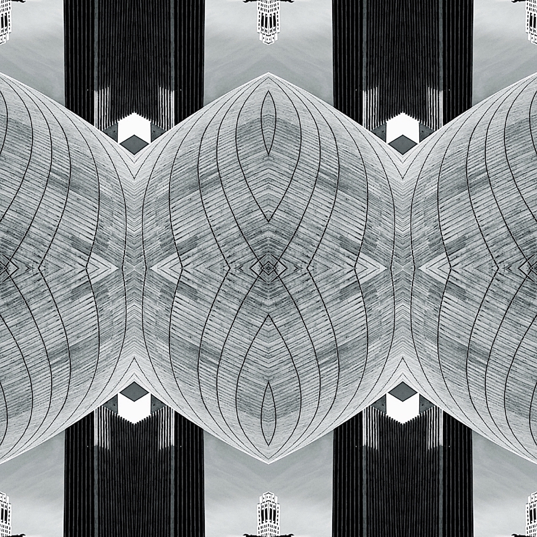 Tranquil Blooms of Modernity