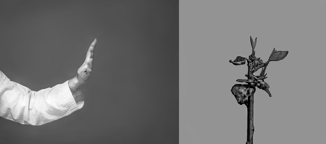 Fusion of Martial Art and Nature