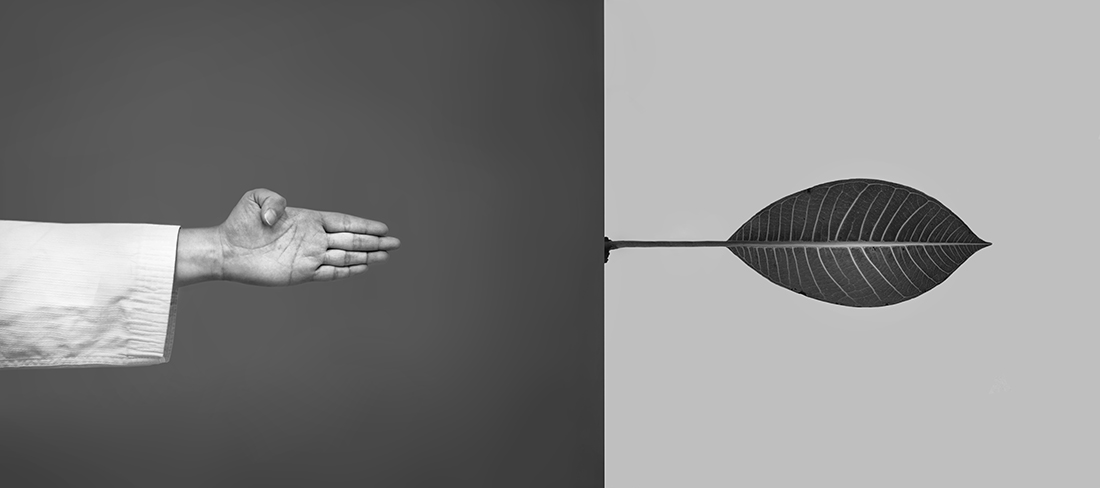 Fusion of Martial Art and Nature