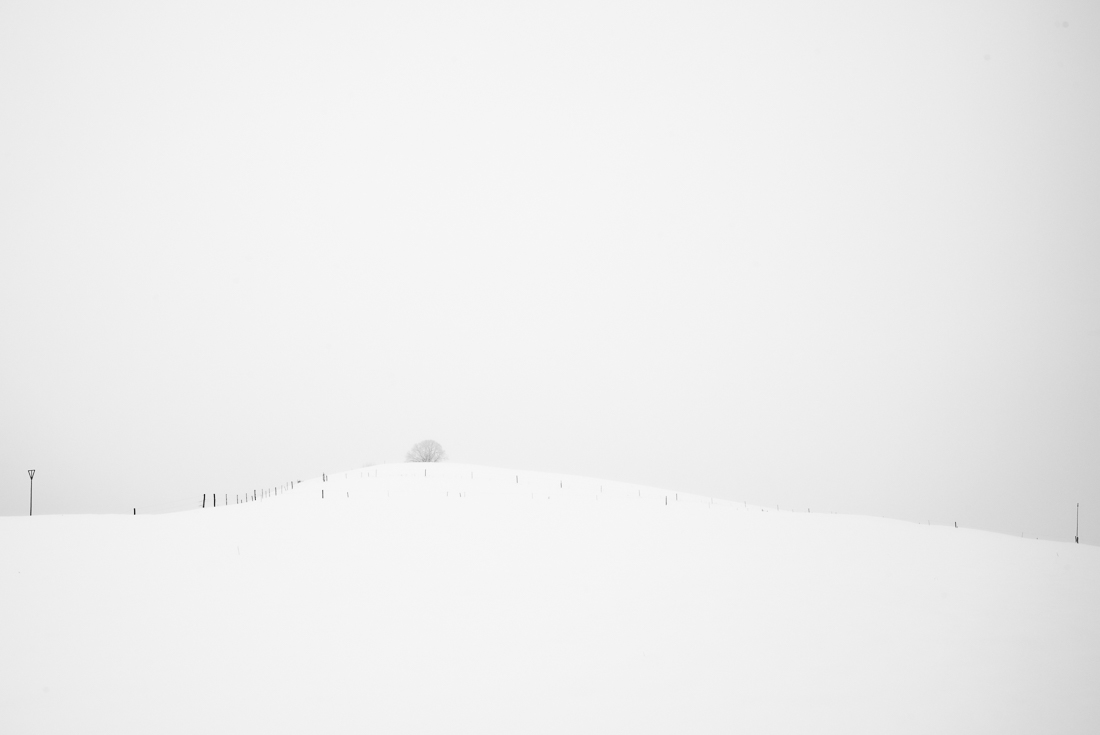 The aesthetics of the lonely 