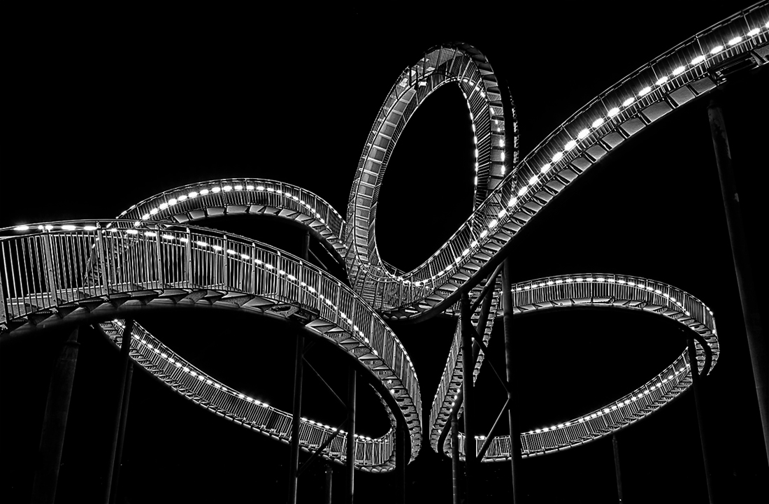 Tiger and Turtle 