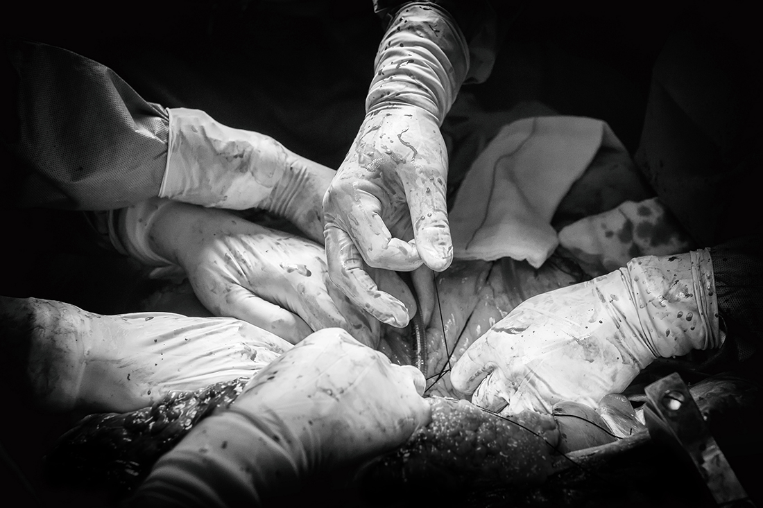 The donation. Source of life and hope