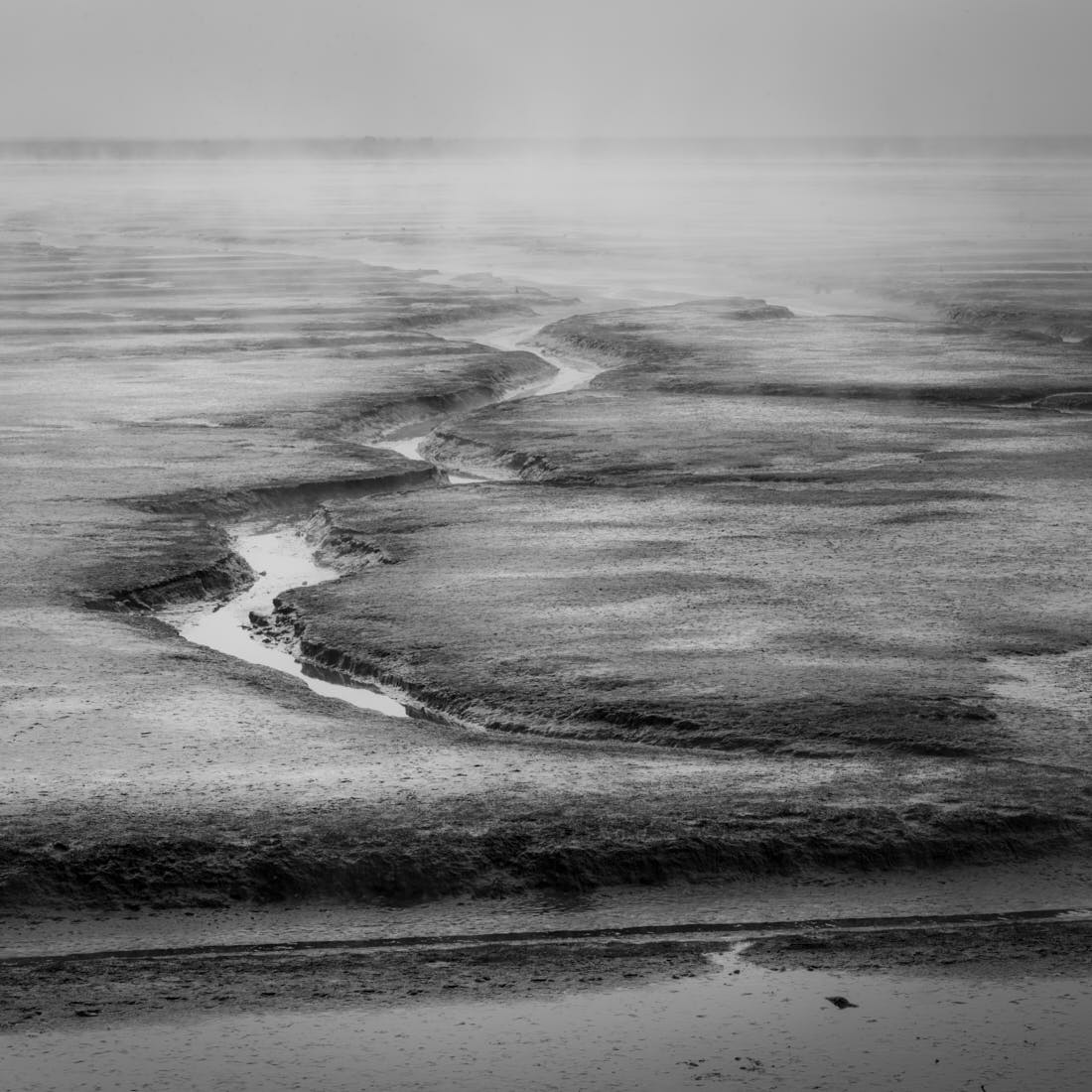 Extraordinary Wetlands