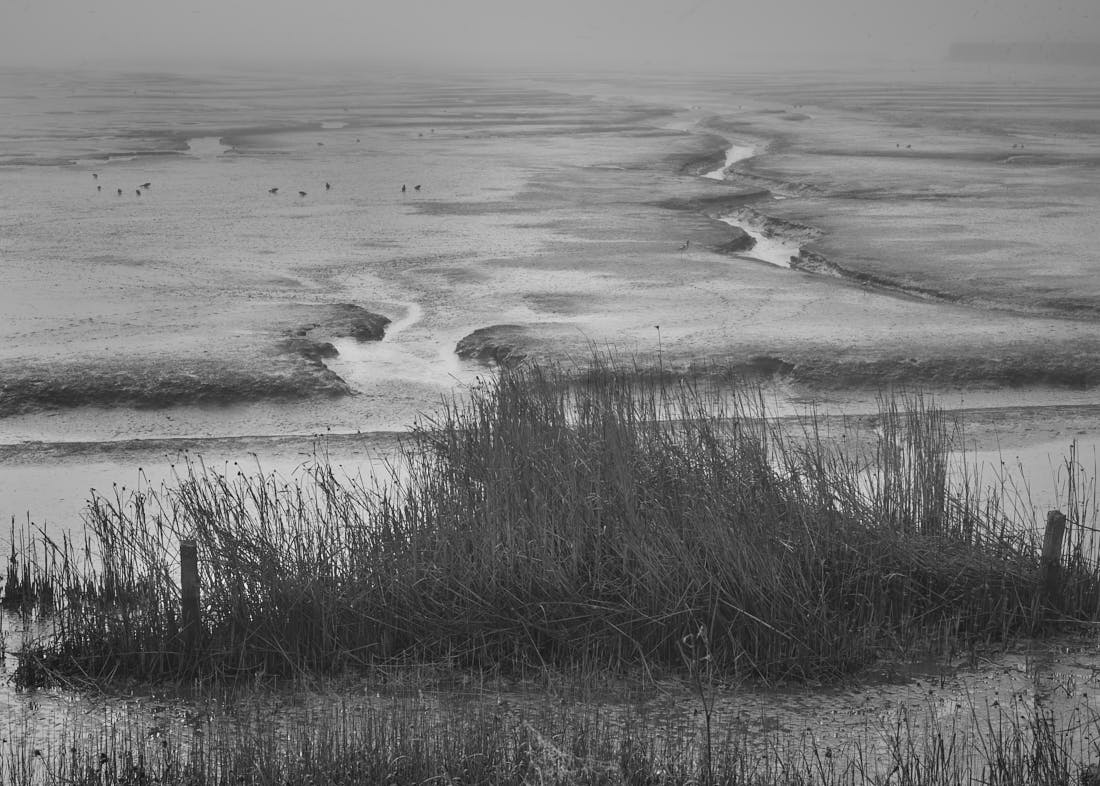 Extraordinary Wetlands