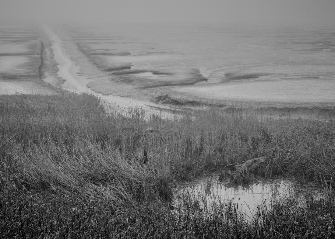 Extraordinary Wetlands