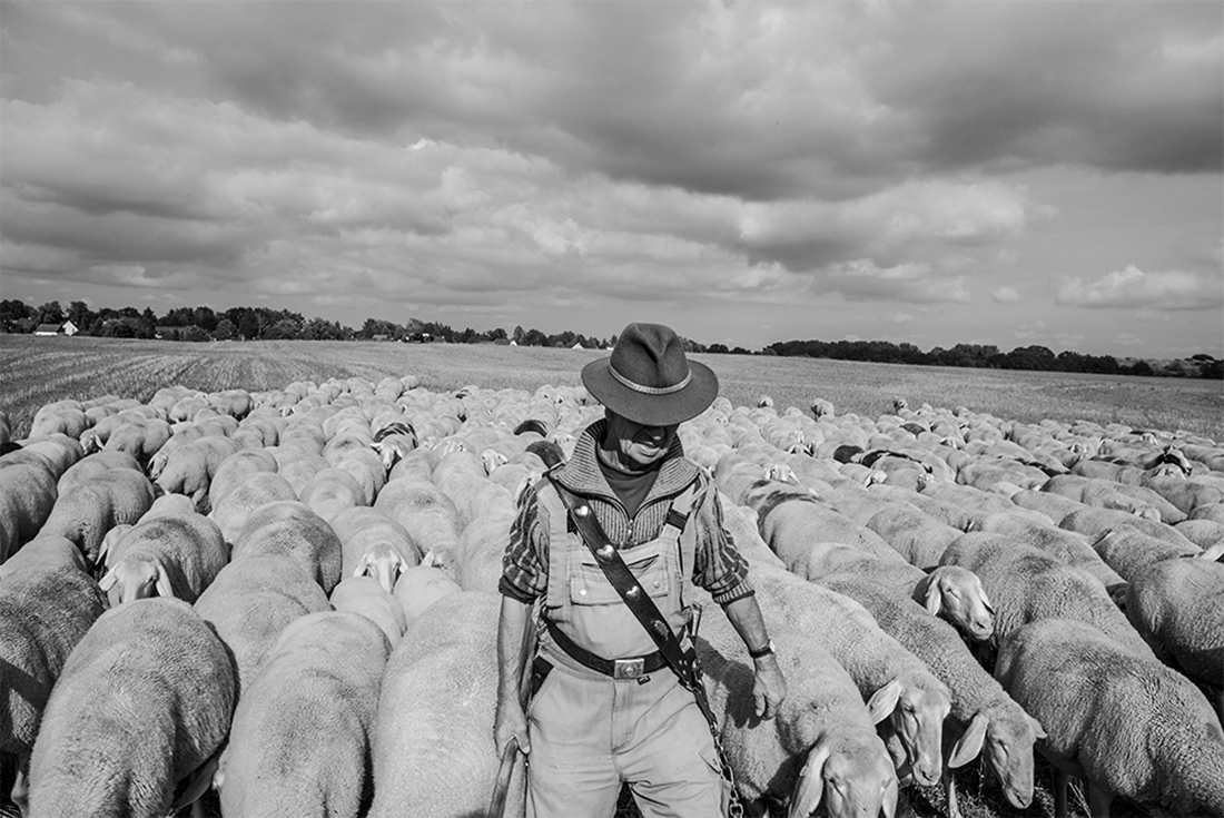 Nomadic Shepherd in Germany