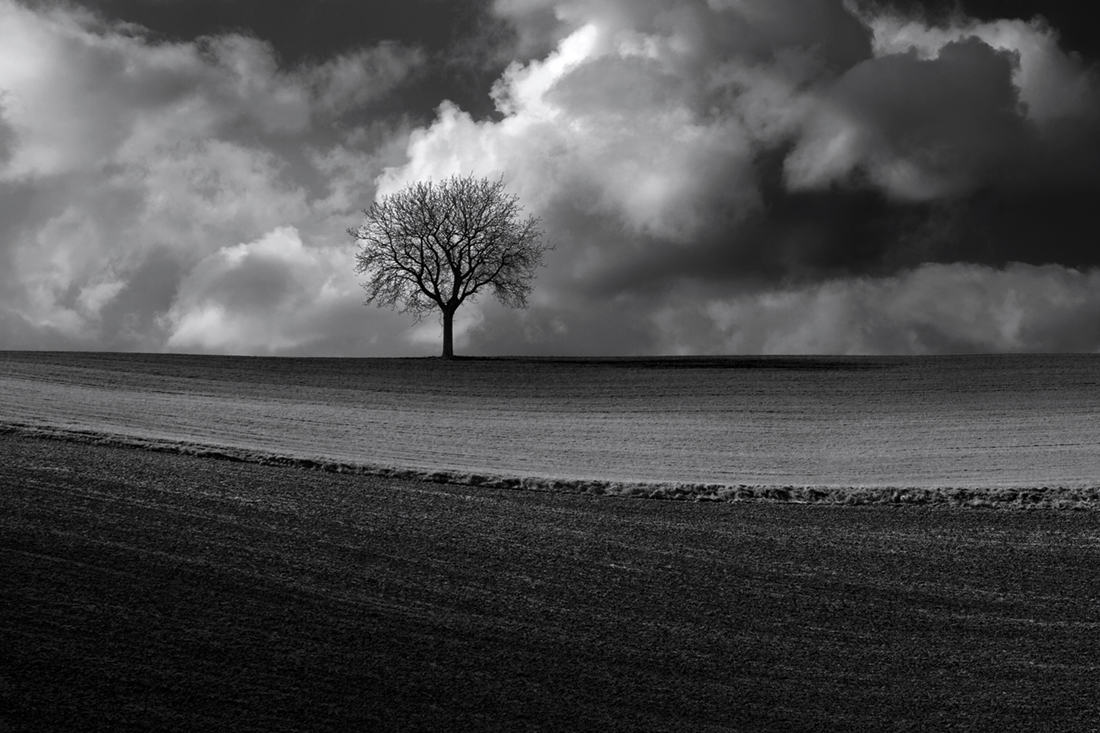 lonely
