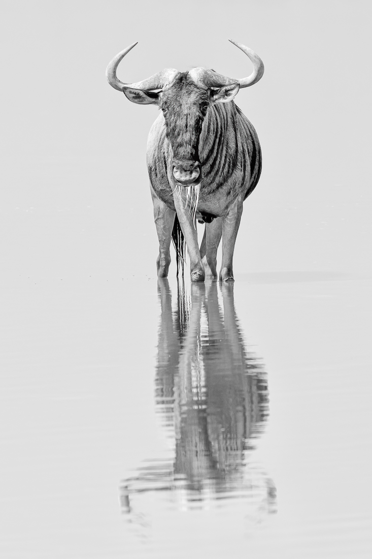 Calming Reflection