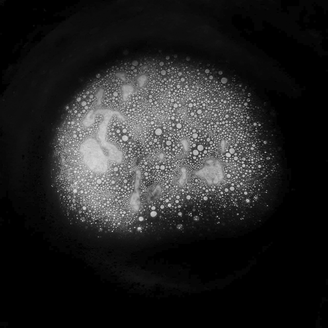 What if we're just a foam at the bottom of someone's coffee cup?