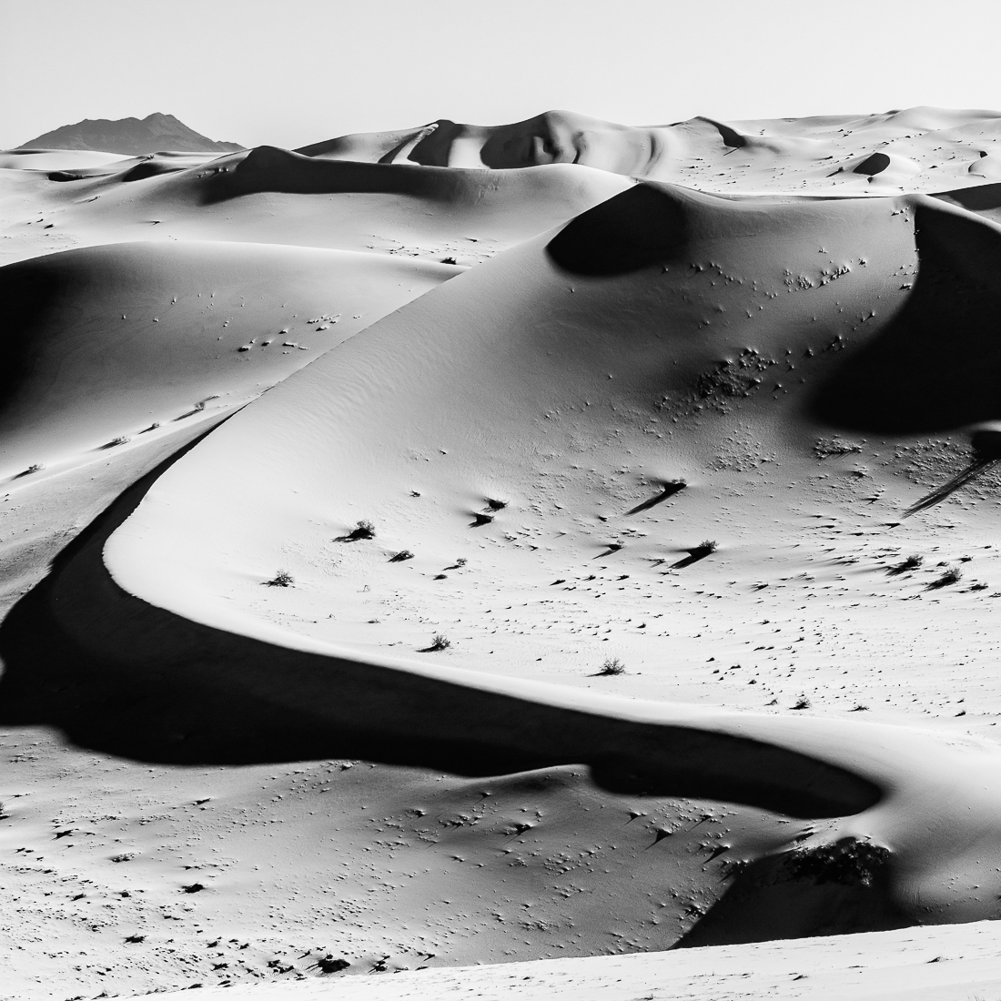 Lovely curves in Sahara