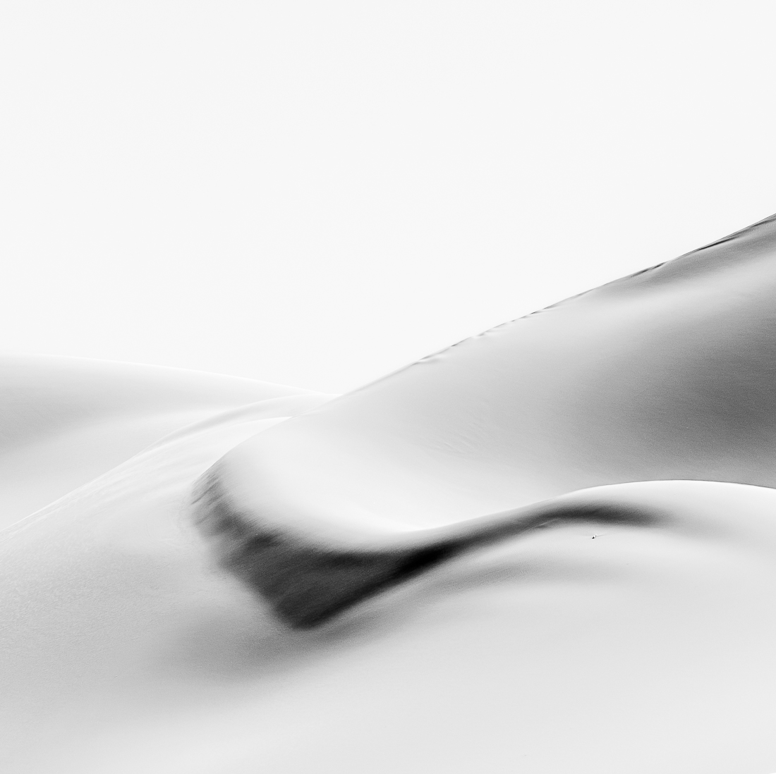 Lovely curves in Sahara