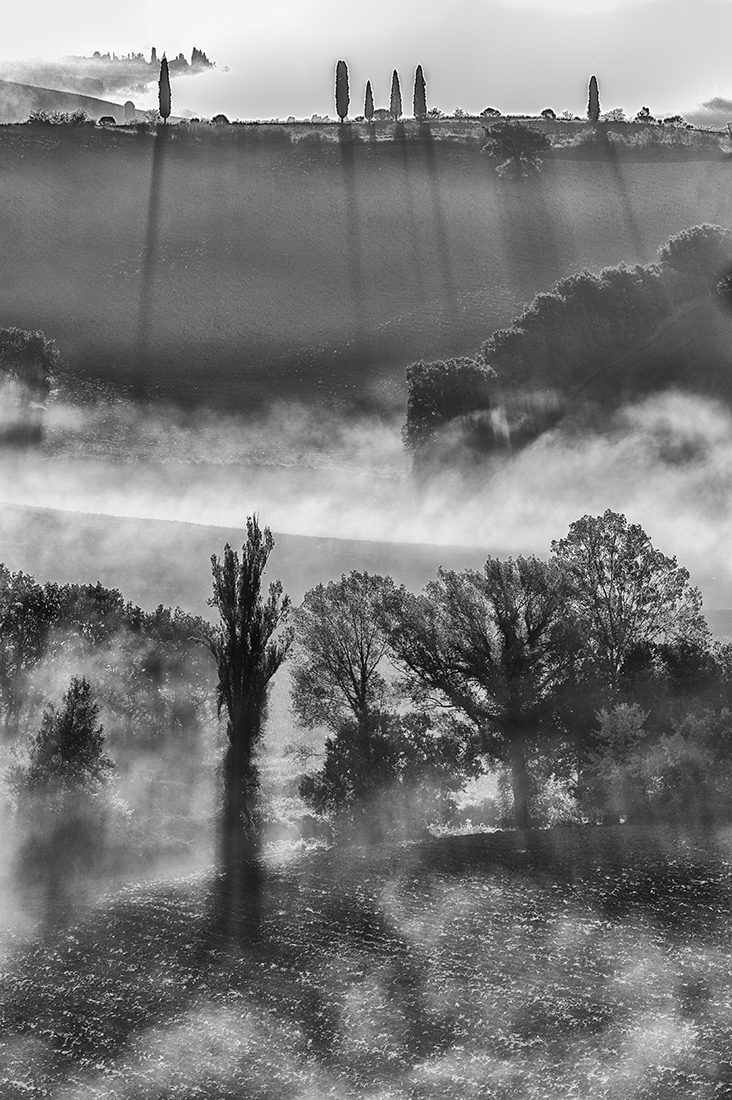 Ghosts That We Knew 