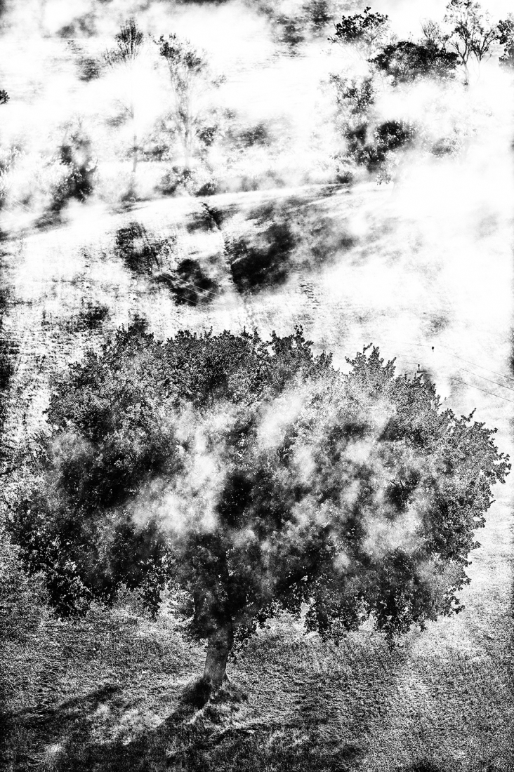 Ghosts That We Knew 