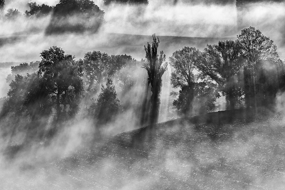 Ghosts That We Knew 