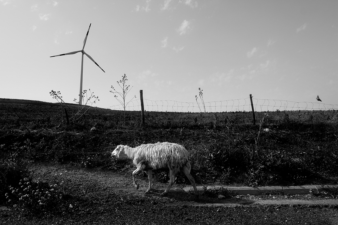 Nature and country life in my land
