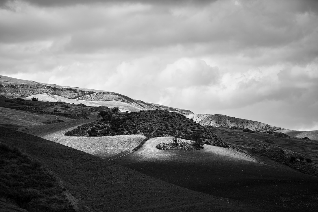 Nature and country life in my land