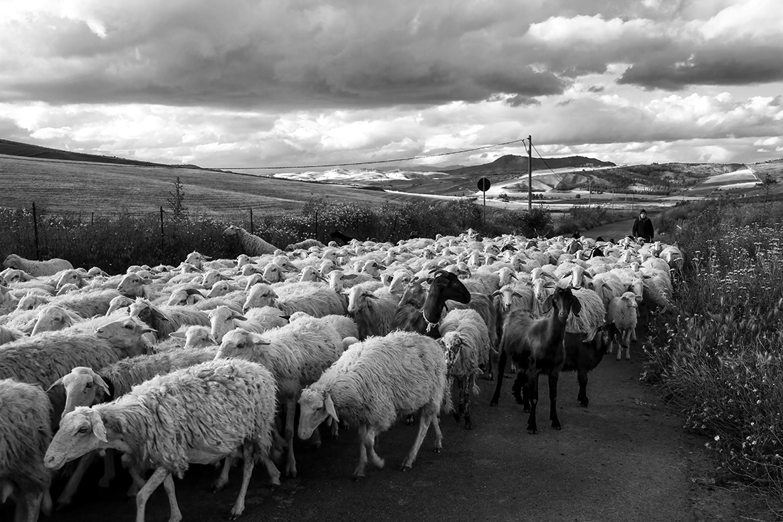 Nature and country life in my land