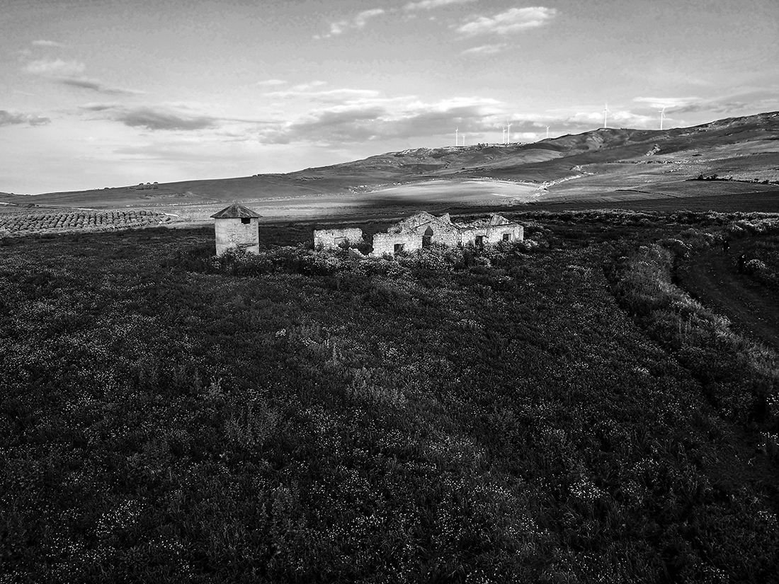 Nature and country life in my land