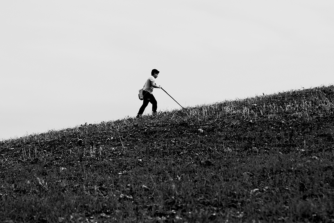 Nature and country life in my land