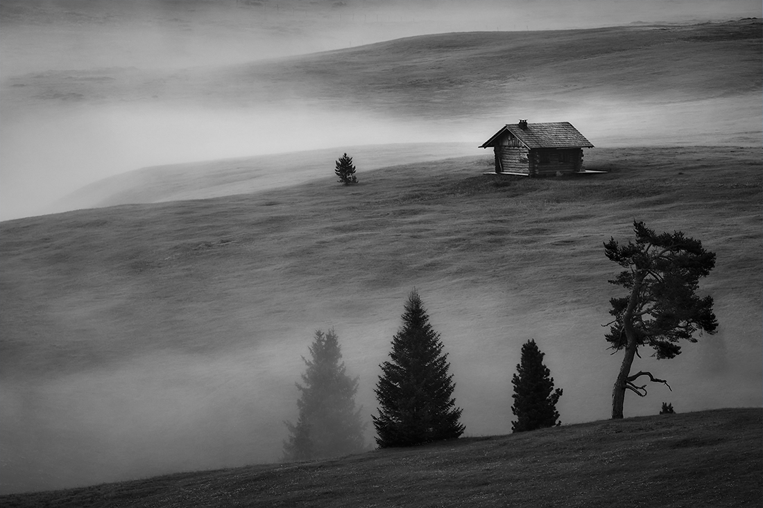 Lonely Home