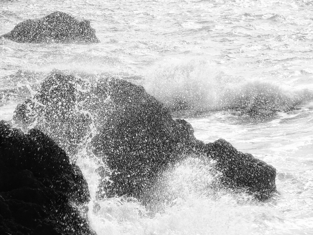 Sea Spray 