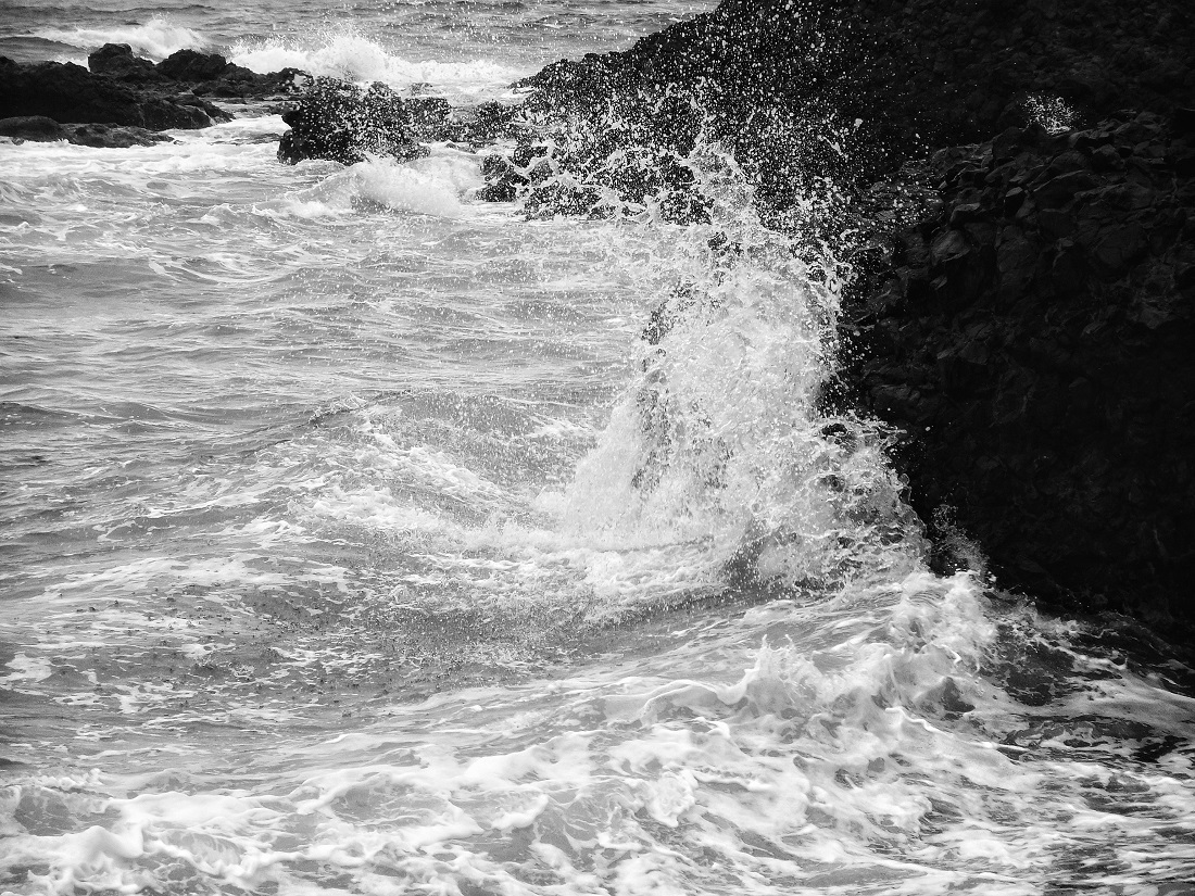 Sea Spray 