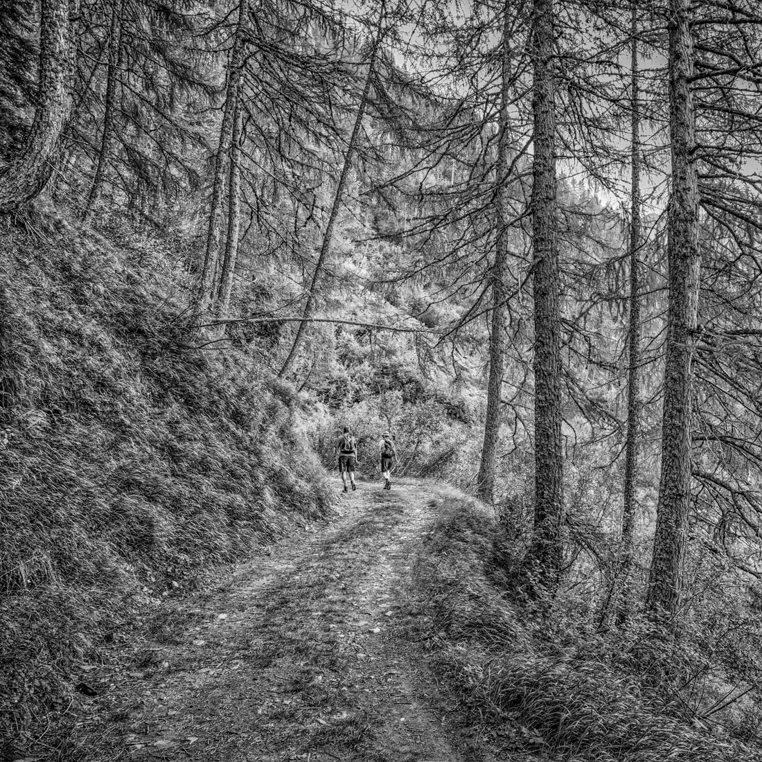 Paths