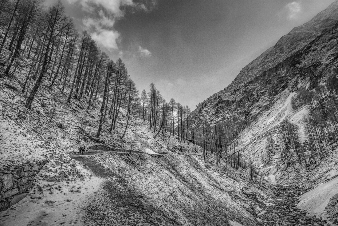 Paths