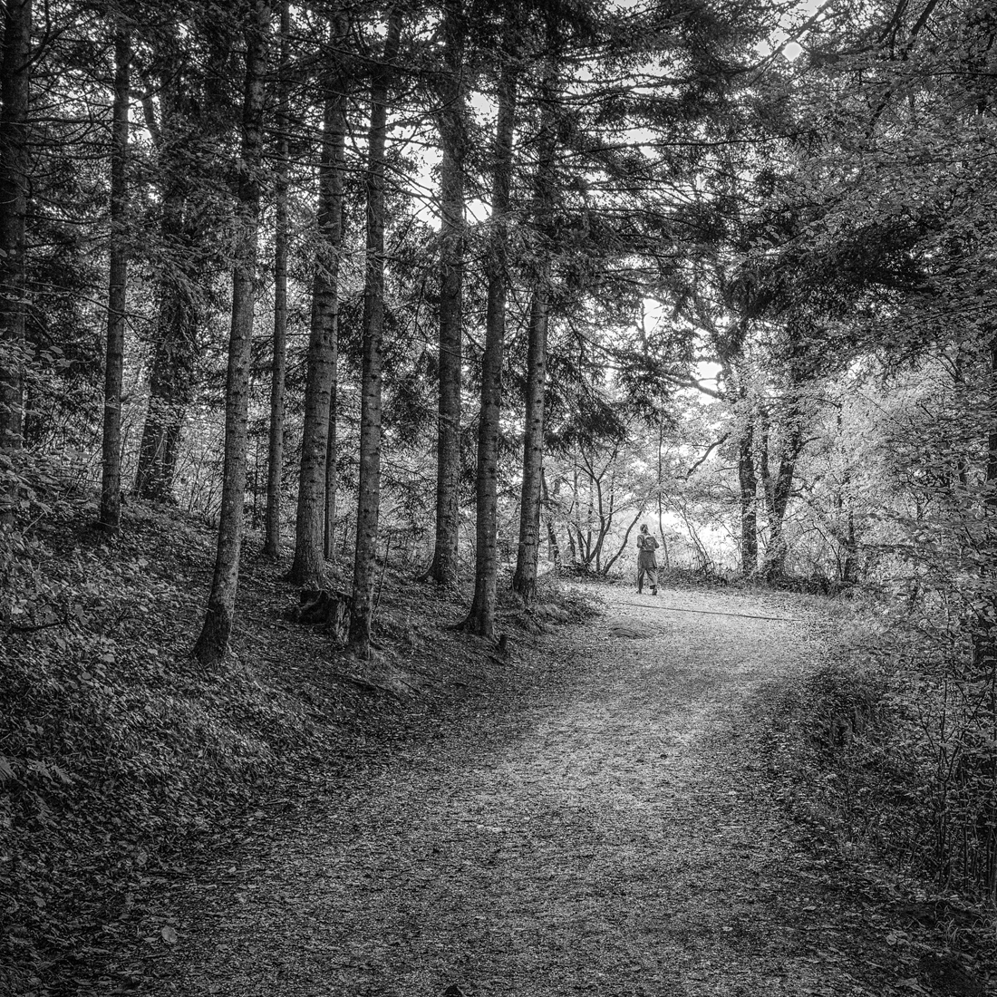 Paths
