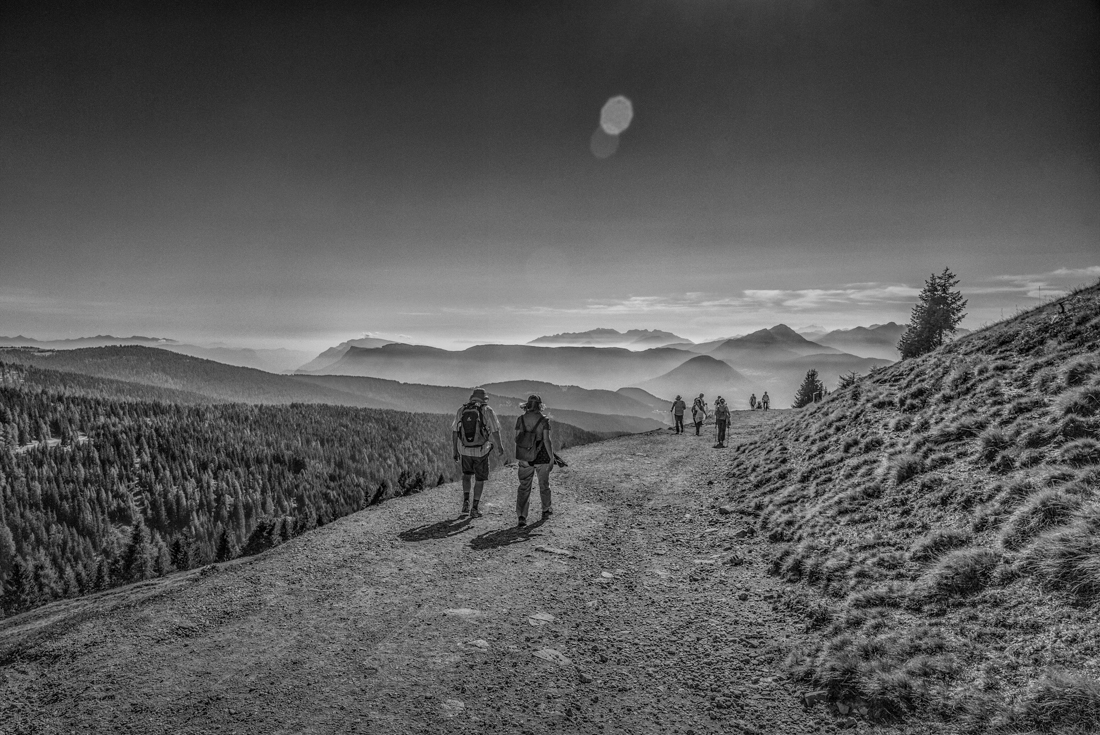 Paths