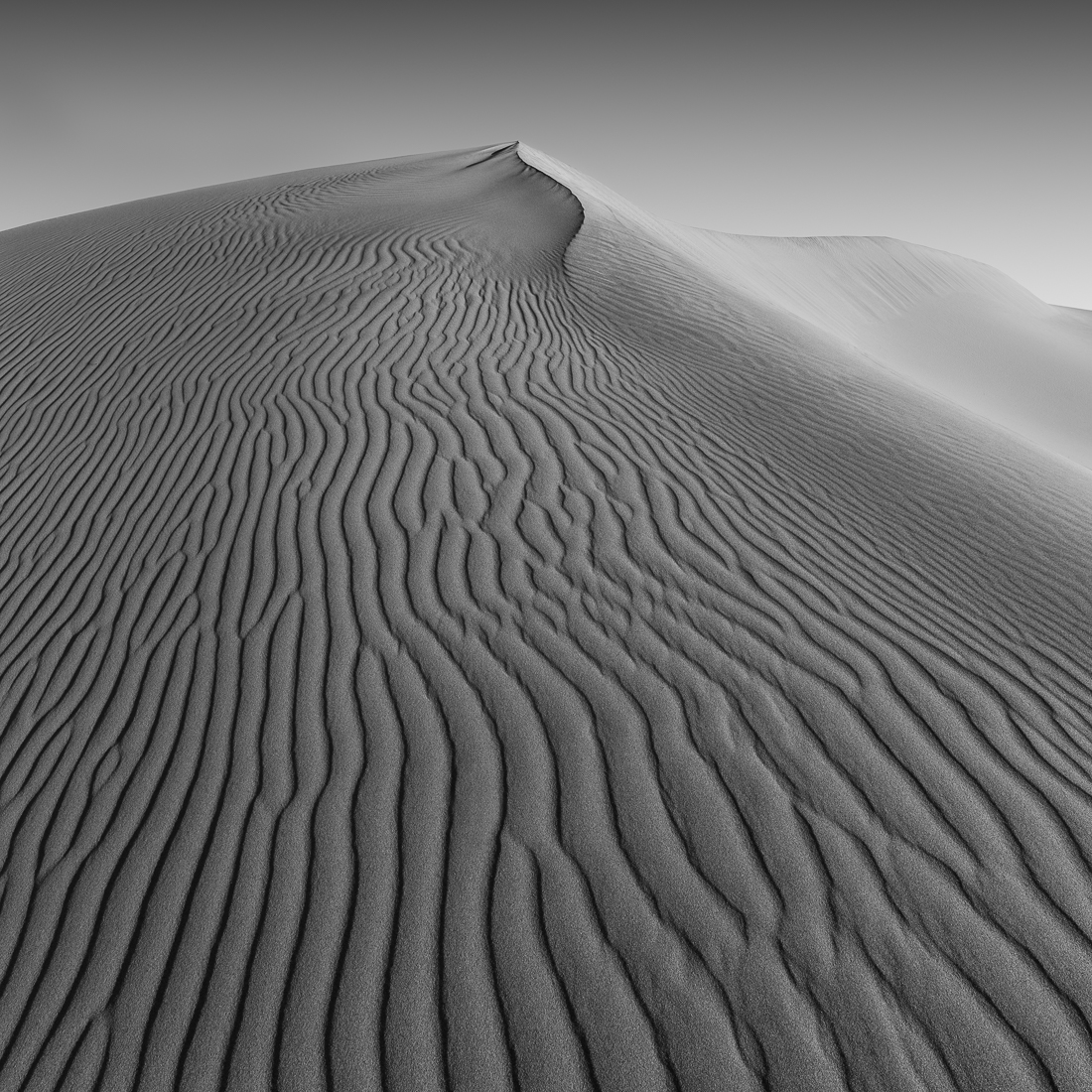 RIPPLE CREST