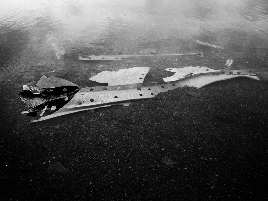 Remnants of a Voyage