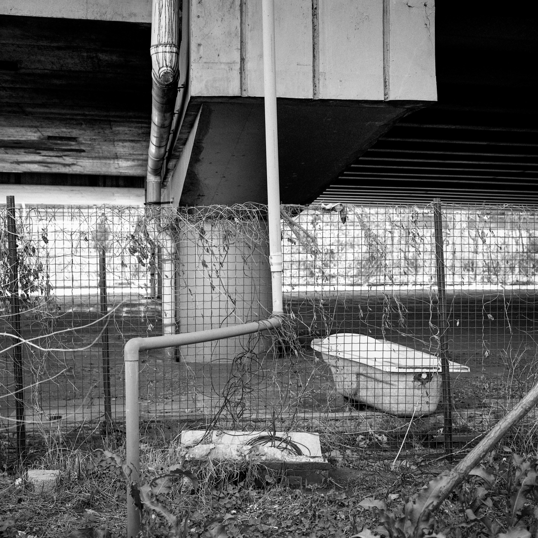 Under The Bridge