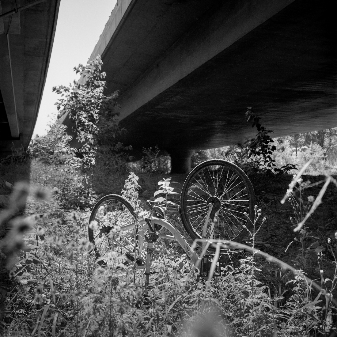 Under The Bridge