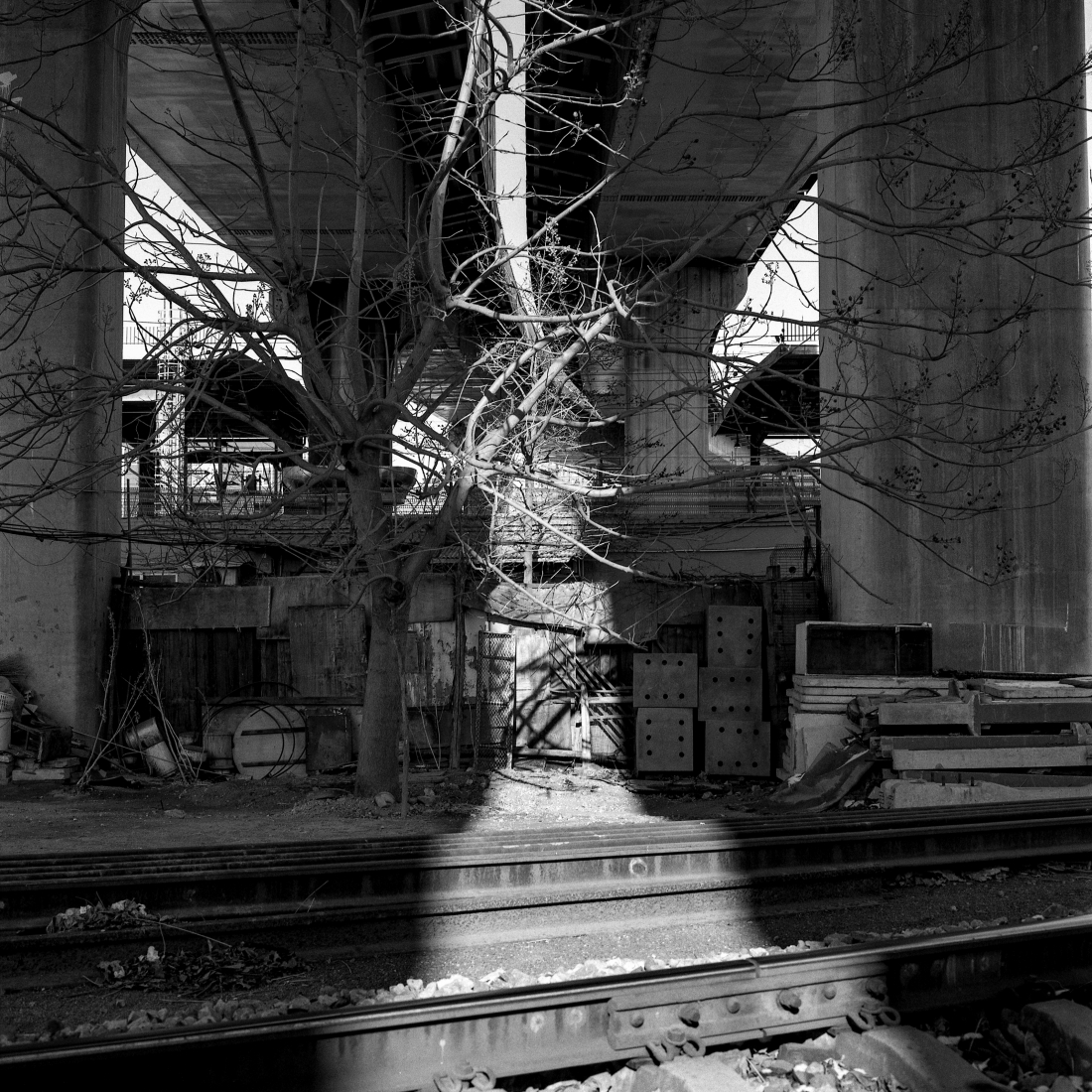 Under The Bridge