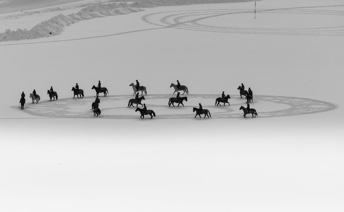 Geometric art by horses