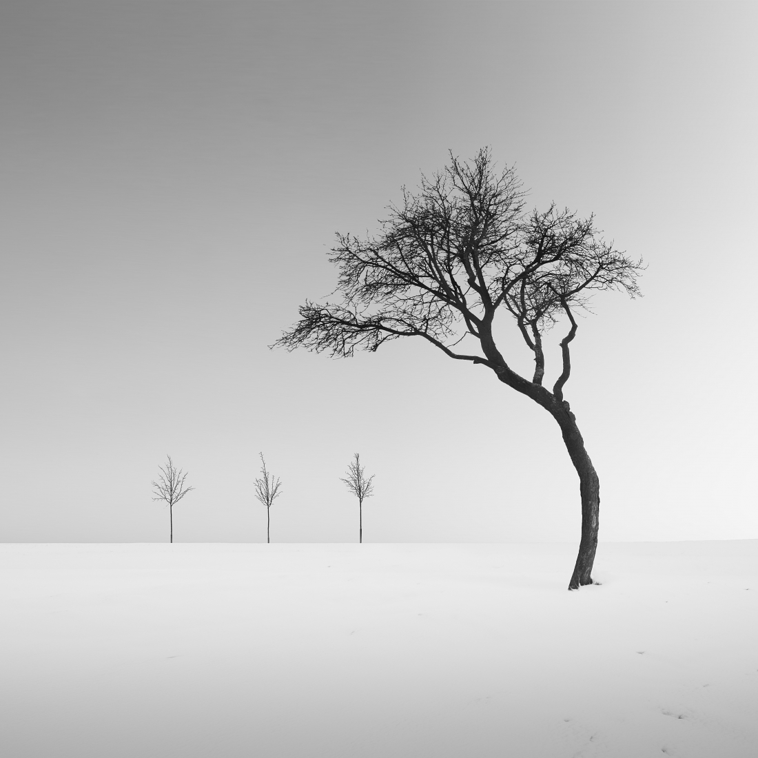 MonoVisions Photography Awards - International Black and White Photo ...